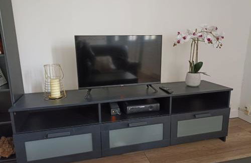 Maison à 20 min de Paris et liaison CDG (transports à 5 min à pied) - Foto 35