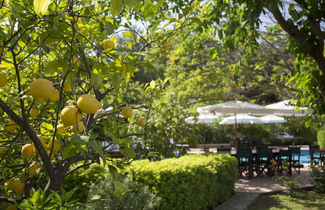 Mr. Dim Exclusive Apart Hotel - Foto 42