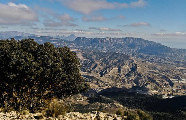 Geführter Spaziergang an der Costa Blanca - Foto 6