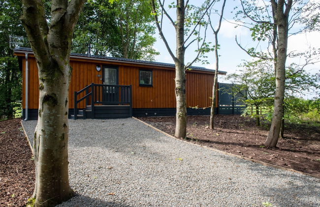 Super King Lodge-sleeps 2-hottub-sea View - Foto 33