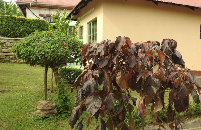 Green Village Apartments - Photo 18