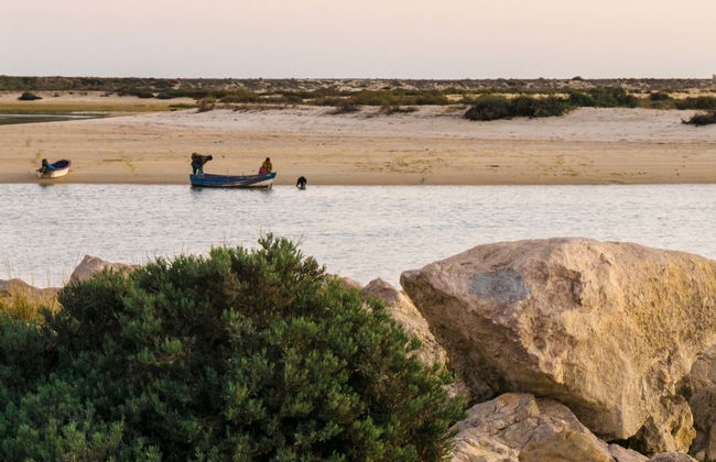 Balade en bateau sur la Ria Formosa - Photo 4