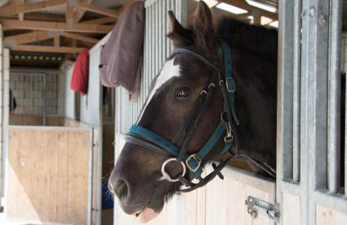 Trippet Cottage - Foto 29