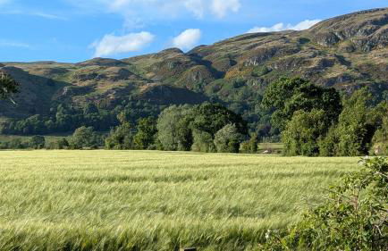 Estate Getaway at Powis House Estate - Foto 34