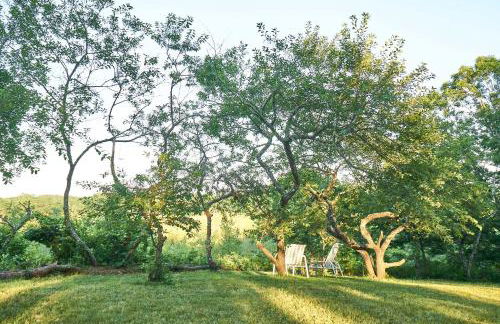 Stylish Wellfleet Home with Patio on 2 Private Acres - Foto 32