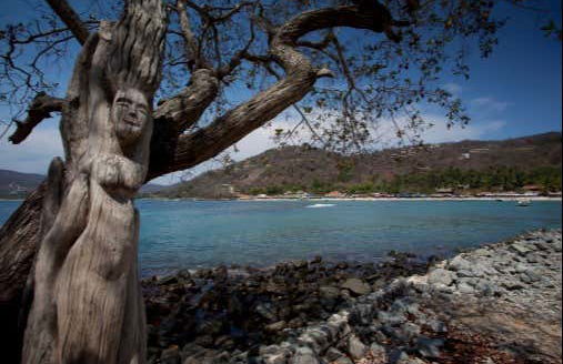 Las Gatas Beach Trip - Photo 2