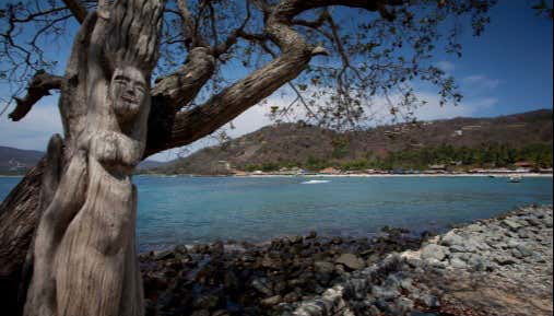 Las Gatas Beach Trip - Foto 2