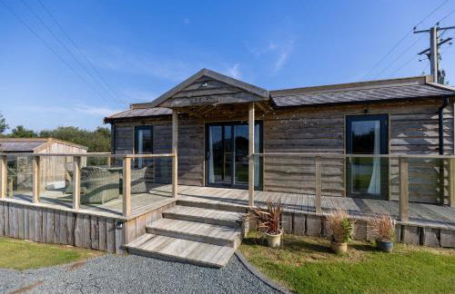 The Pig Arc - Foto 2