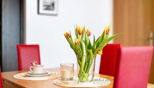 Alexander Feiss - Foto 5