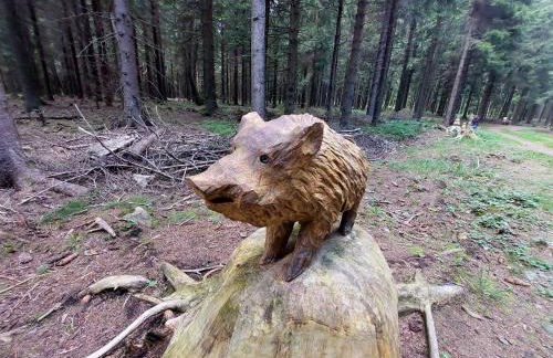 Ferienwohnung Splitek - Foto 26