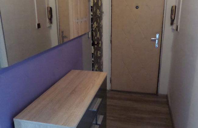 Apartmán Trutnov - Foto 16