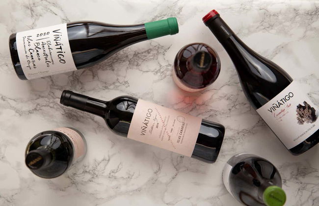 Visita às Bodegas Viñátigo - Foto 8