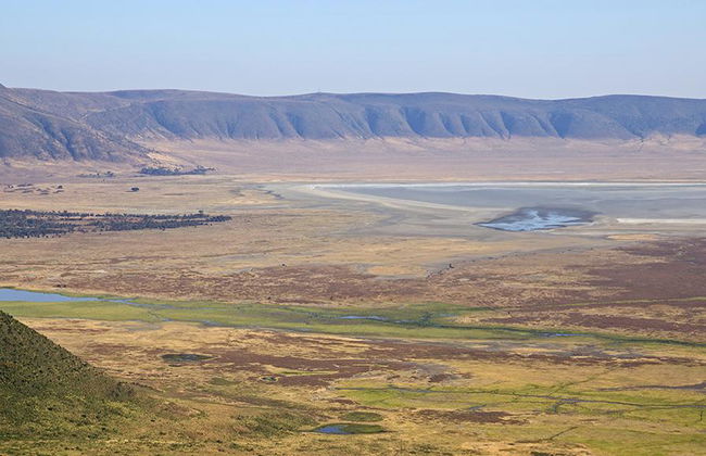 Ganztägige Safari im Ngorongoro-Krater - Private Tour - Foto 1
