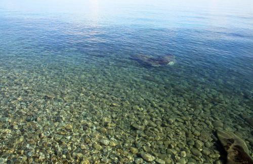 Villa Bruca 2 appartamenti al mare - Foto 5