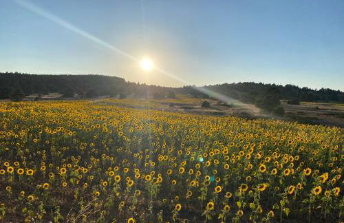 Casa Rural El Olmo - Foto 24