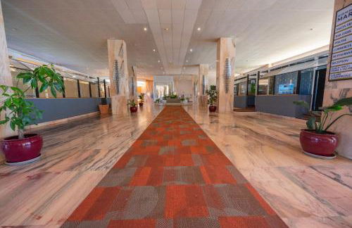 Seagulls melody C-209 - Foto 49