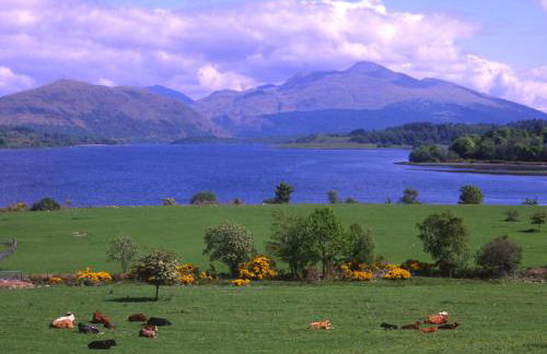 Tigh Grianach - Foto 23