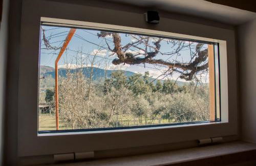 Quinta-lina de serpins - Foto 56