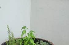 Villa vista vigneto - Foto 3