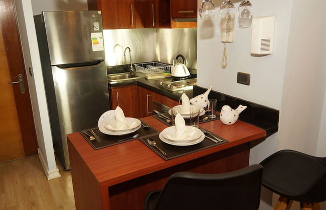 Apart Providencia Barros Borgoño - Foto 15