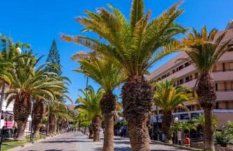 Royal View Apartment - Los Cristianos - Foto 75