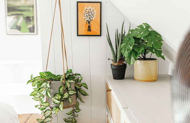 Stunning 2BD in the Heart of Malmesbury - Photo 13