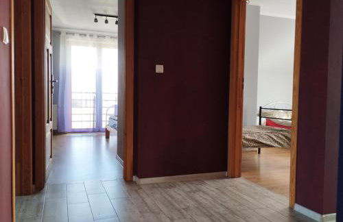 ABM Noclegi - Foto 13