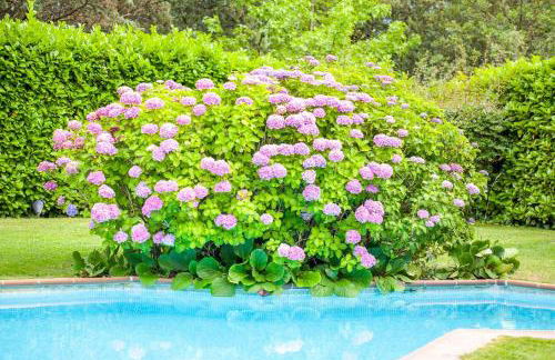 Gran Castanyer - Foto 34