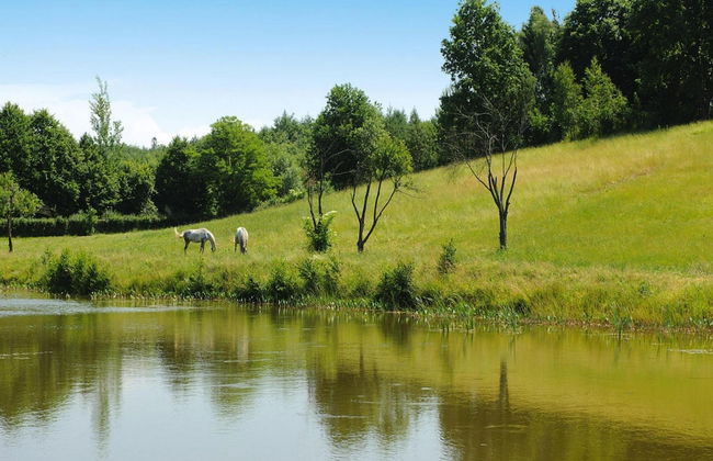 Holiday Home With Thatched Roof, Rekowo - Foto 32