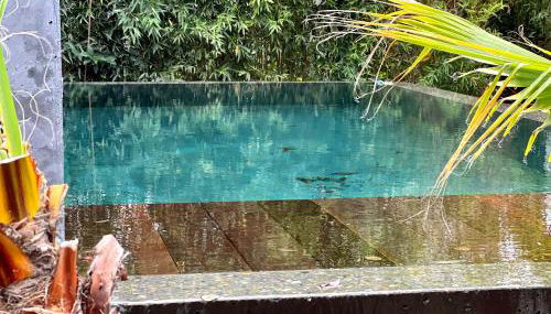 La Villa Canopée - Piscine chauffée-Fibre-Clim-Jacuzzi - Foto 4, Garden, Garden view