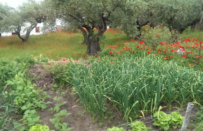 Apartamento Tía Antonia - Photo 17