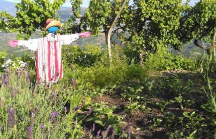 Quinta da Portinha, stunning views of the Douro River - Foto 28