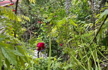 Green house, cosy garden Paris - Foto 37