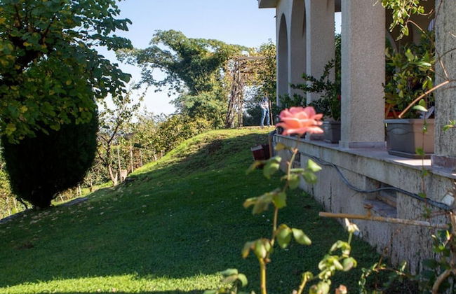 All Seasons Guest House - Foto 17