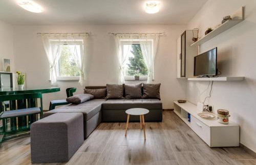 Holiday house with a parking space Fuzine, Gorski kotar - 20518 - Foto 8