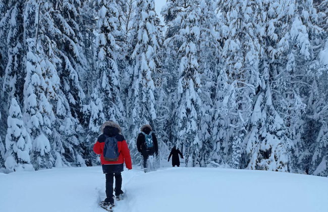Trekking por el Parque Nacional Nuuksio - Foto 6