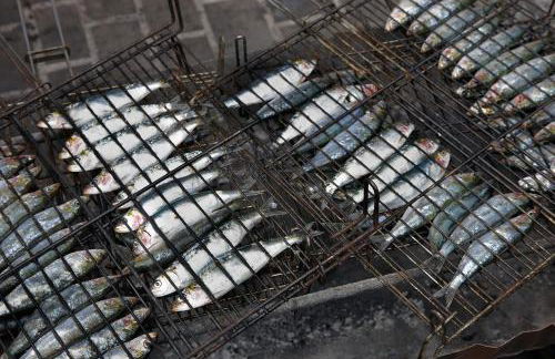 ATeRIAN GAZTETAPE II - Foto 25