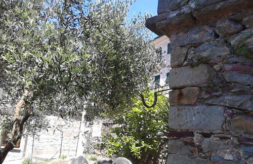 Mare, Monti e...Cinque Terre - Foto 41