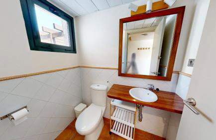 Lamb's Ears - Foto 7