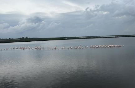 casa di Eva - Photo 23