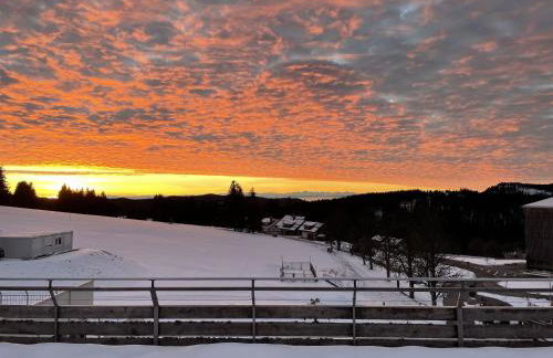 Ferienwohnung Penthouse Feldberg - Foto 23