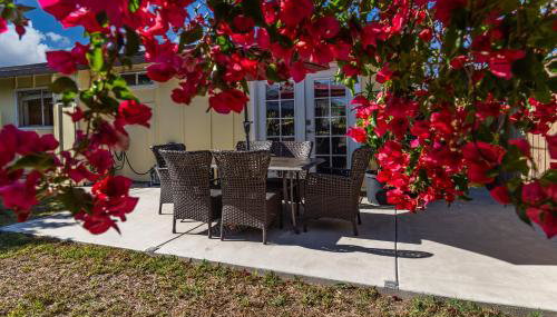 Giraffe House - Foto 4