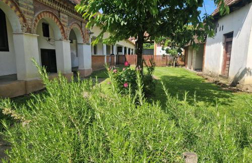 Holiday House Slavonska oaza - Foto 14