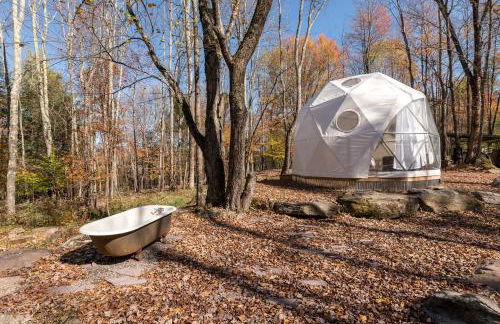 Cozy Unique Dome for a Romantic Glamping Getaway on a Private Farm in Woodridge, New York - Foto 1