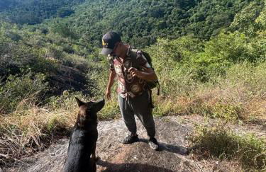 Fusca Home - Foto 15