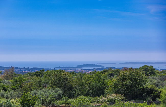 Gallicianum - Foto 71