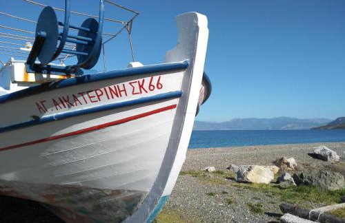 Palm tree house by the beach - Foto 46