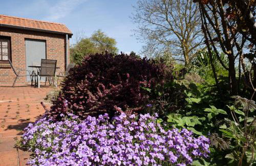 Ferienhaus May App 1 - Foto 16