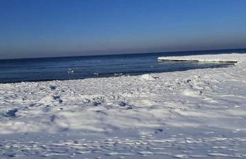 Orzechowy Dworek - Foto 46