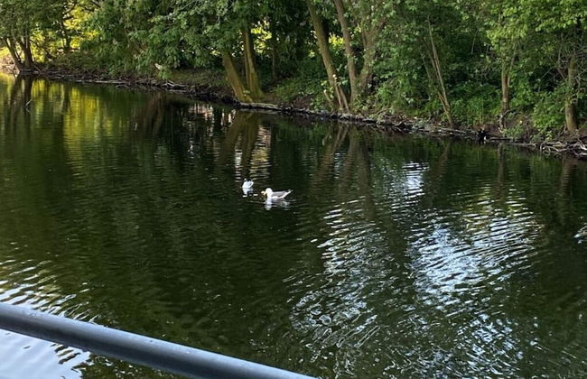 Graft View by the sea - Foto 21